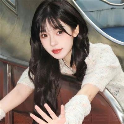 一只小蜘蛛